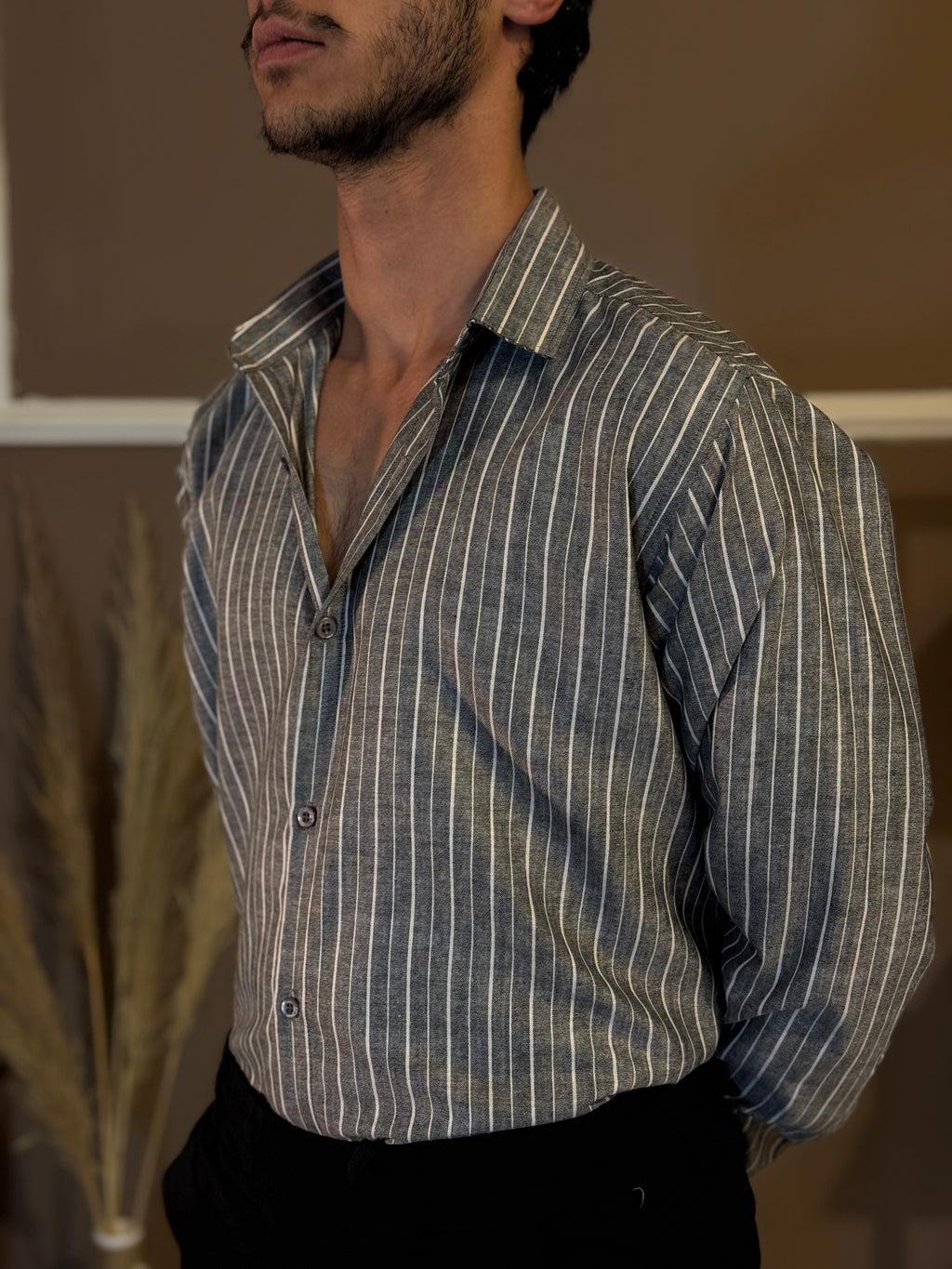 ئاڤیرا لینیا